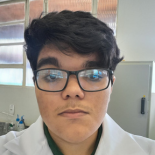 Joel Martins Braga Neto